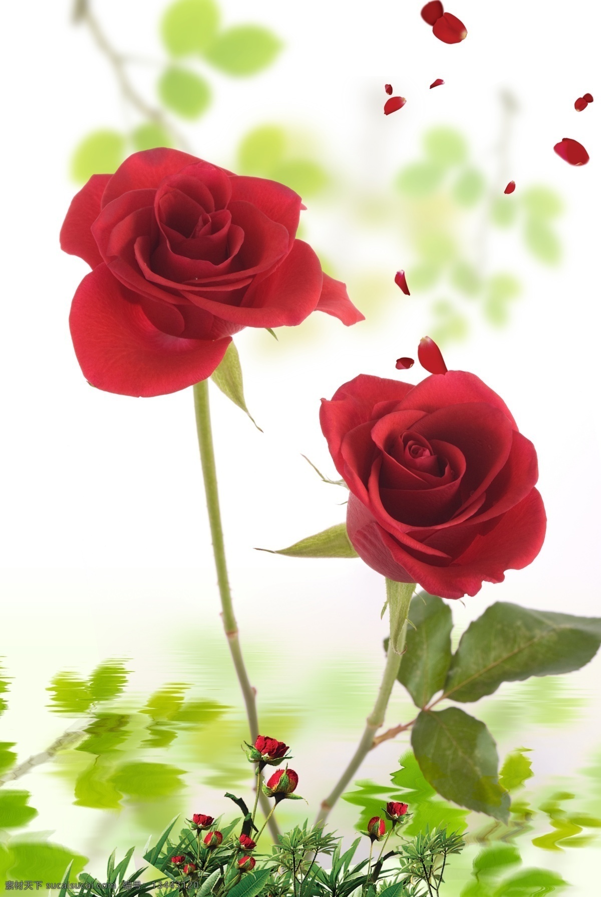 玫瑰花开 中国风 玄关 psd分层 荷花 玫瑰 牡丹 白玉兰 家和 福 花开富贵 竖图 家和万事兴 浮雕