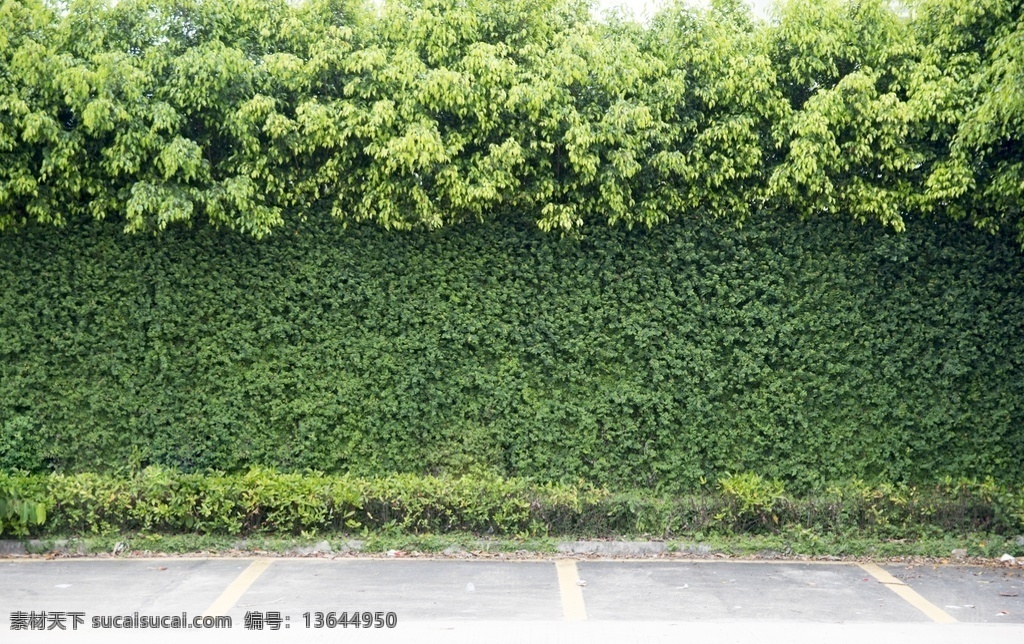 植物墙 绿植 园林 贴图 模型 建筑园林