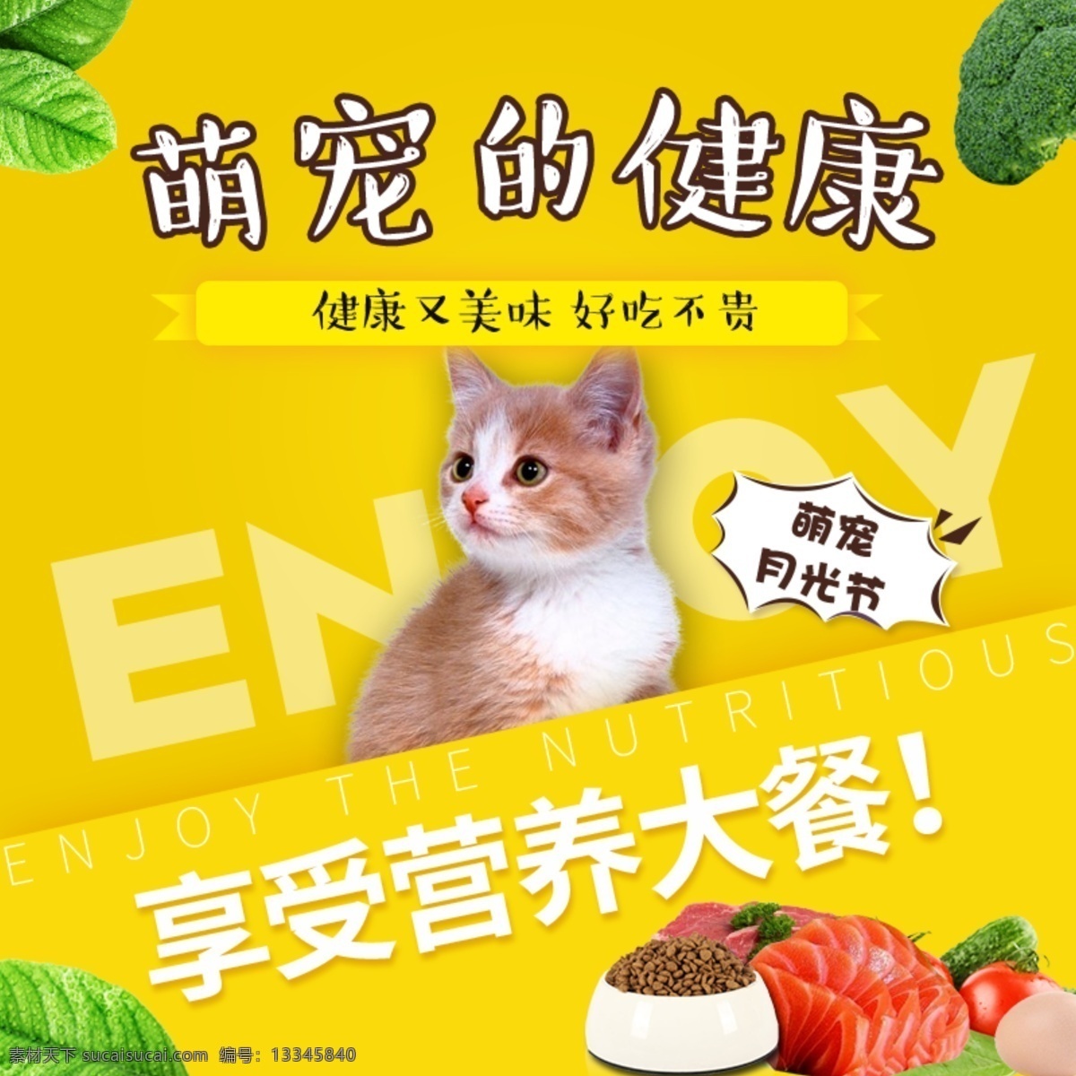 宠物 饲料 淘宝 主 图 宠物饲料 猫粮 黄色 安全健康 电商主图 淘宝主图 天猫主图 淘宝直通车 电商 天猫