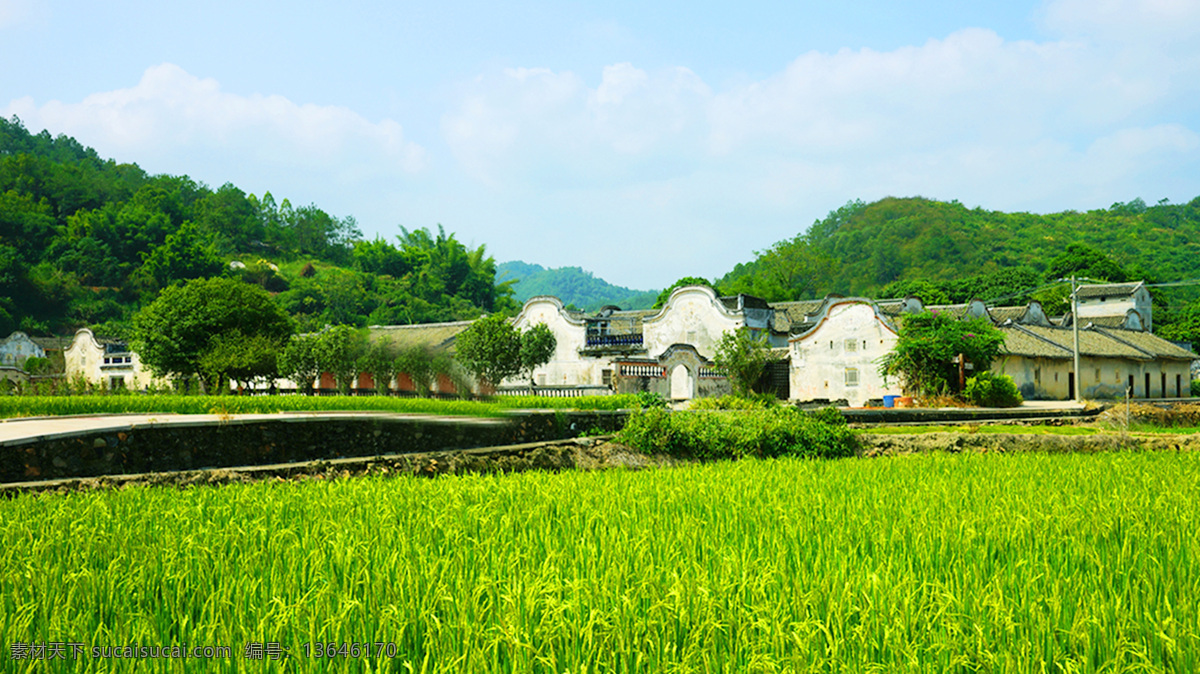 乡村 田园 自然风光 自然景观 自然风景 高清 乡村田园