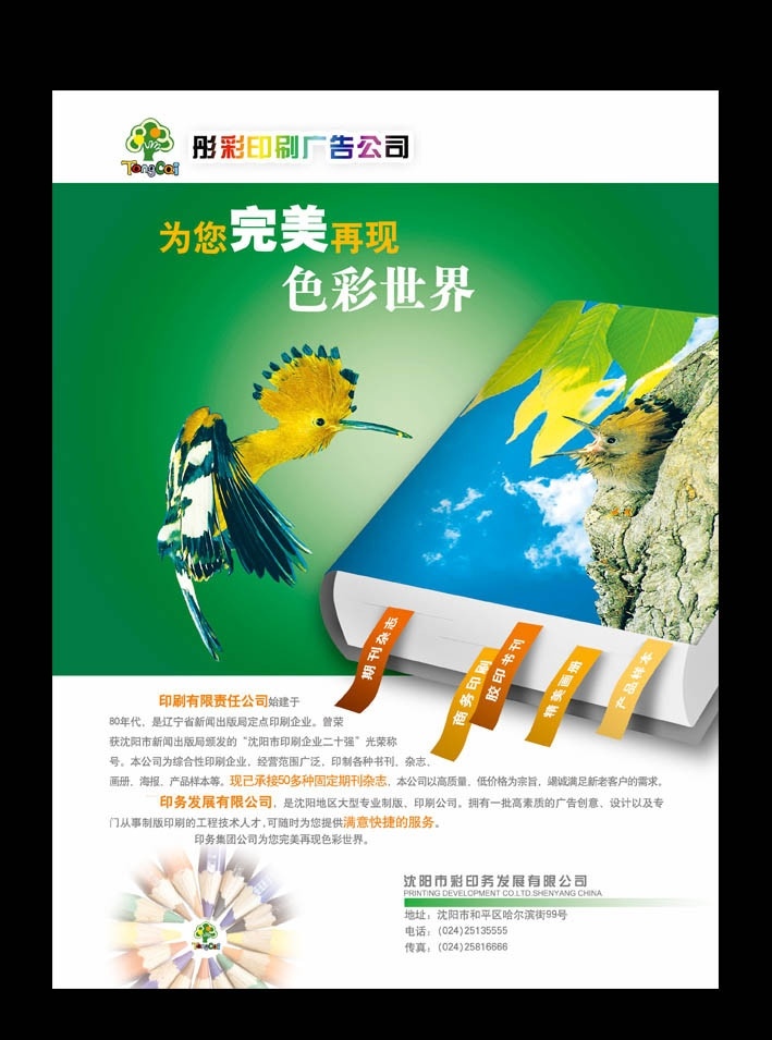 广告公司 宣传 印刷厂 宣传单 彩色 鸟 书 完美色彩 广告 广告宣传单 dm宣传单 广告设计彩印 印务 印制 数码彩印 印刷 印刷公司 彩印公司 广告设计模板 源文件