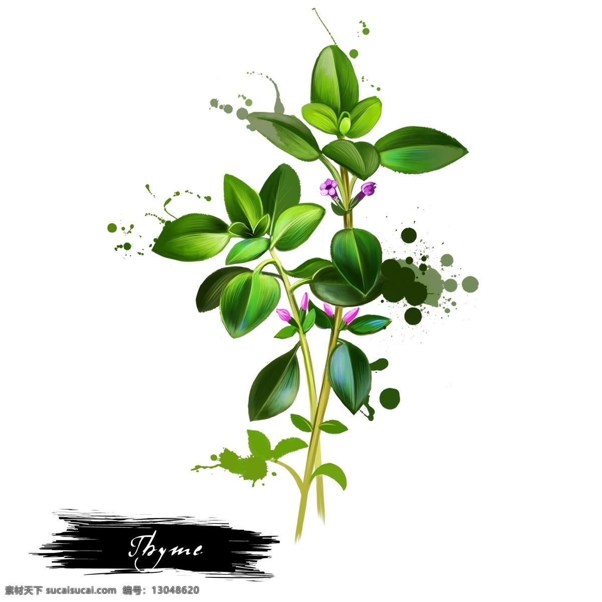 手绘 水彩 植物 花朵 绿叶 源文件 粉红色 绿色 玫瑰花 花茎 装饰图案