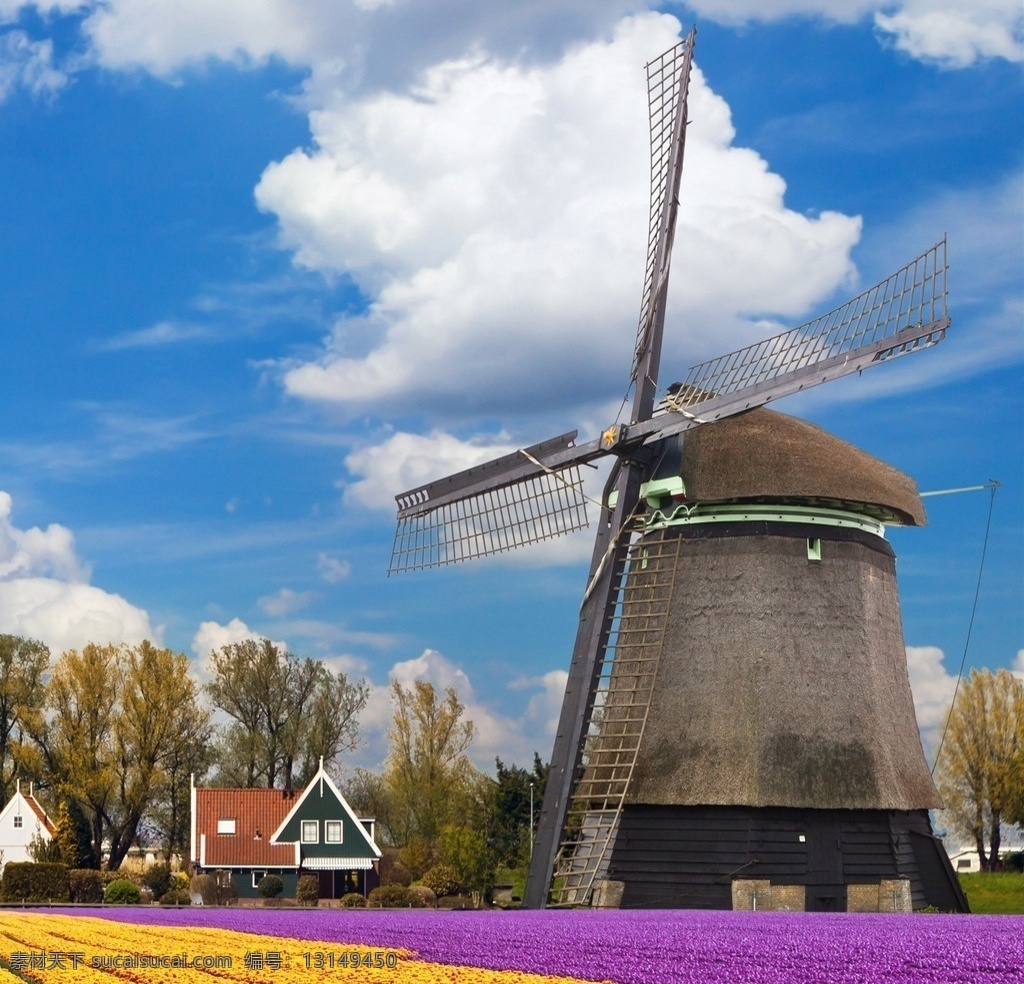 荷兰风车 唯美 风景 风光 旅行 欧洲 荷兰 风车 蓝天 白云 花海 花 旅游摄影 国外旅游