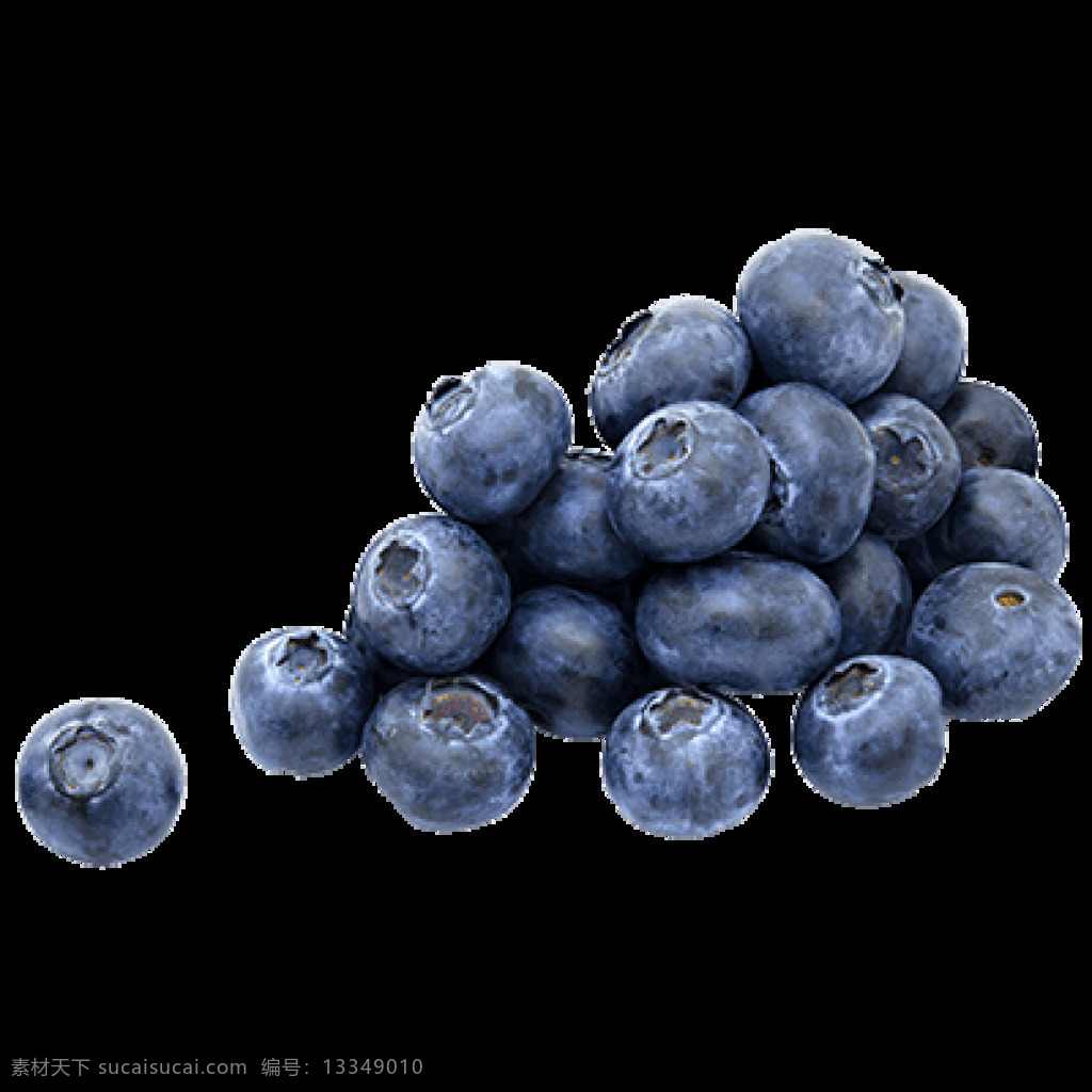 蓝莓 蓝莓png 蓝莓免抠图 水果素材 水果 蓝莓食物 甸果 笃斯越桔 树莓 莓果 浆果 热带水果 鲜果 农副产品 蓝莓抠图 蓝莓树 果蔬素材