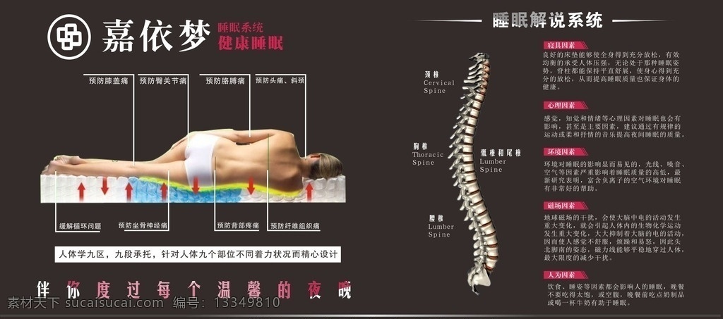 嘉依梦床垫 嘉依梦 床垫 黑色底色 脊椎 写真