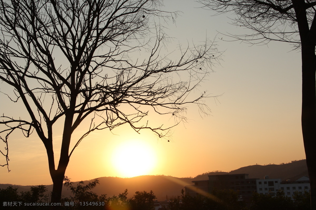 夕阳 黄昏 枯树 树木 树木剪影 意境 自然风景 自然景观 psd源文件