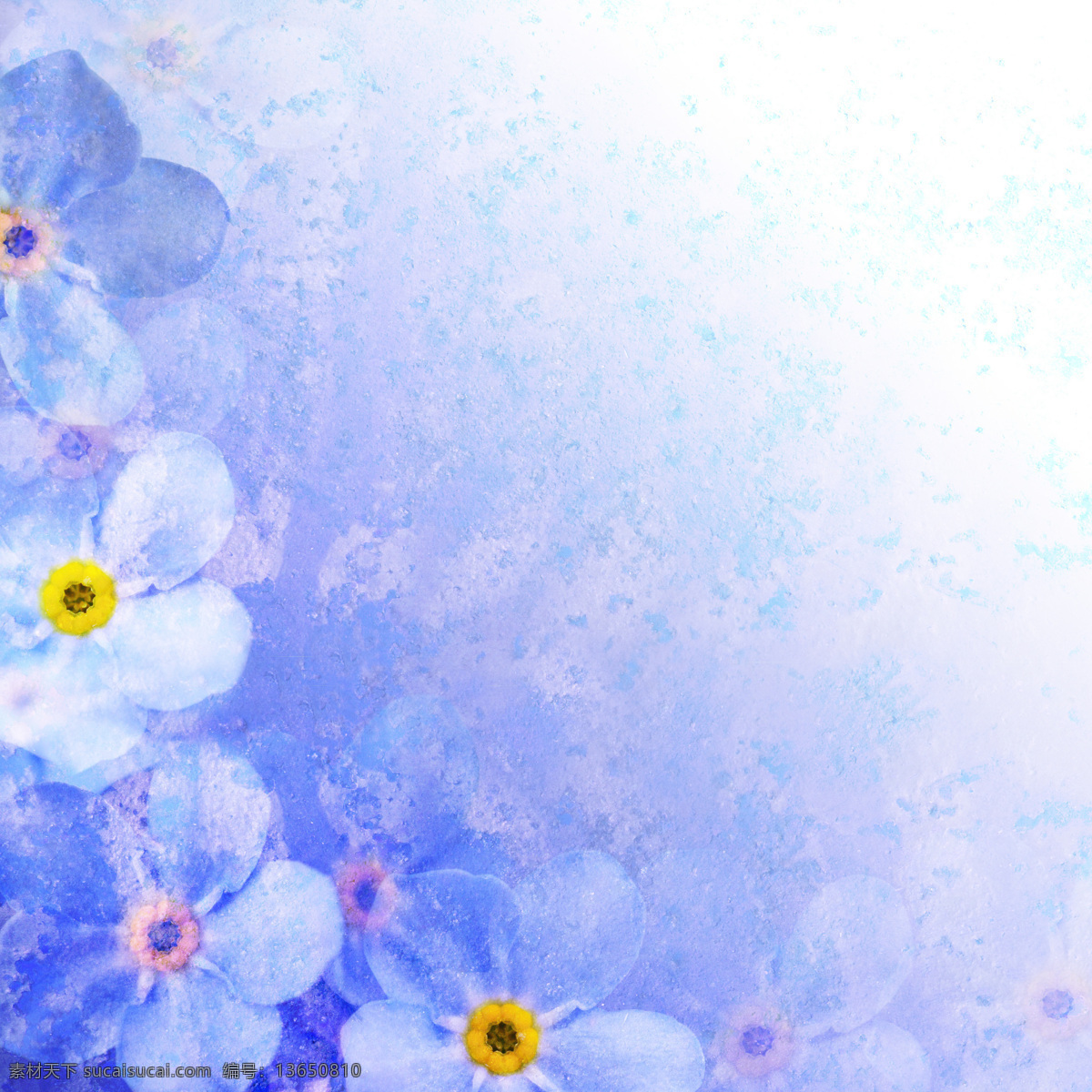 鲜花 梦幻 背景 美丽鲜花 花卉 花朵 鲜花背景 梦幻背景 底纹背景 温馨 浪漫 花草树木 生物世界