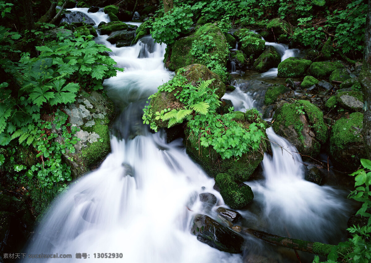 湍急 流水 自然 风景 水花 水雾 溅出 急流 河流 植物 植被 山水风景 风景图片