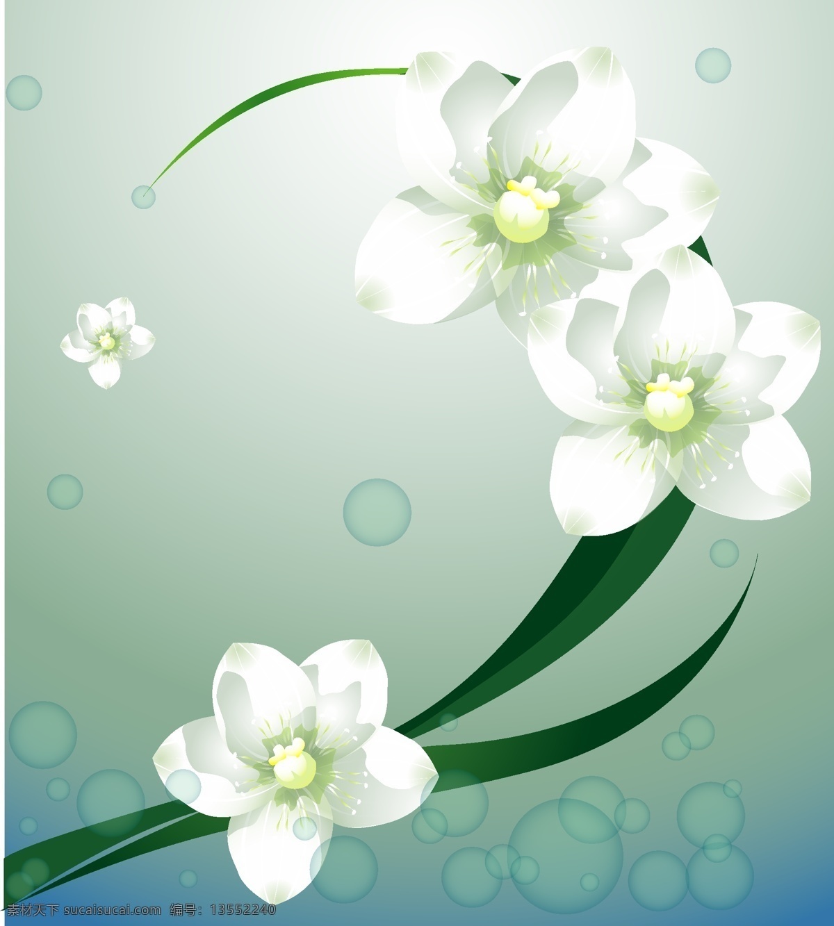 美丽 玉兰花 矢量图 白色 花朵 绿叶 水珠 花纹花边