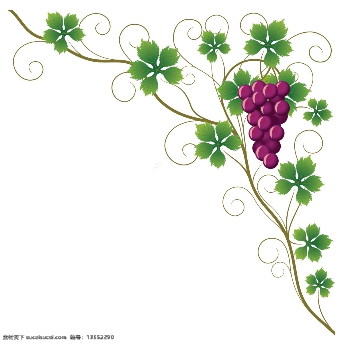 葡萄 花纹 边框 绿叶 葡萄花纹边框 矢量图 花纹花边