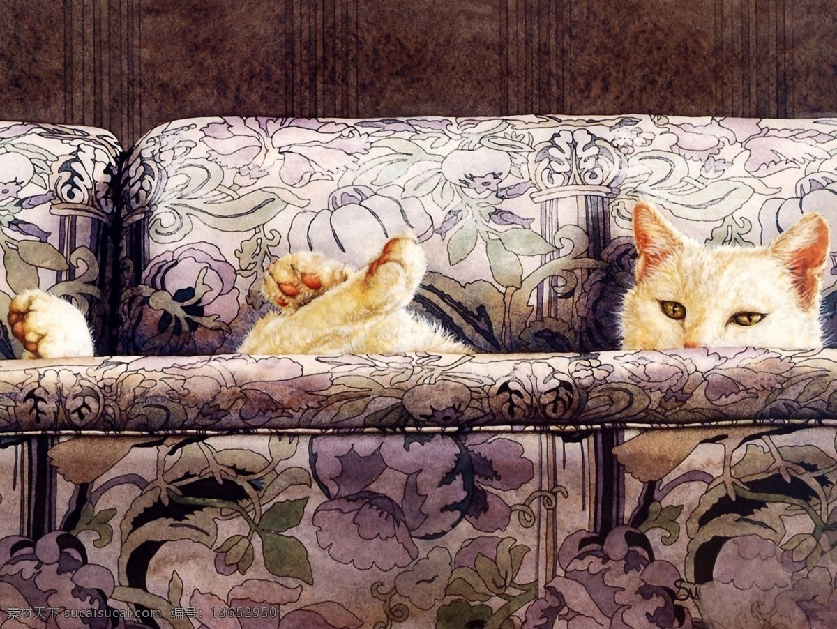 猫咪 宠物 手绘画88猫 手绘画 设计素材 家禽家畜 动物插图 书画美术 黑色