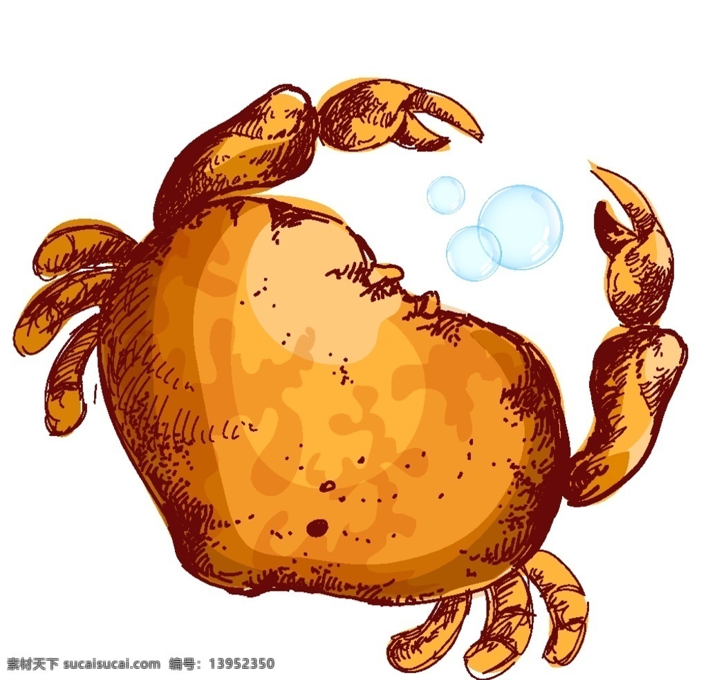 螃蟹 手绘 复古 海鲜 水产 生物世界 海洋生物