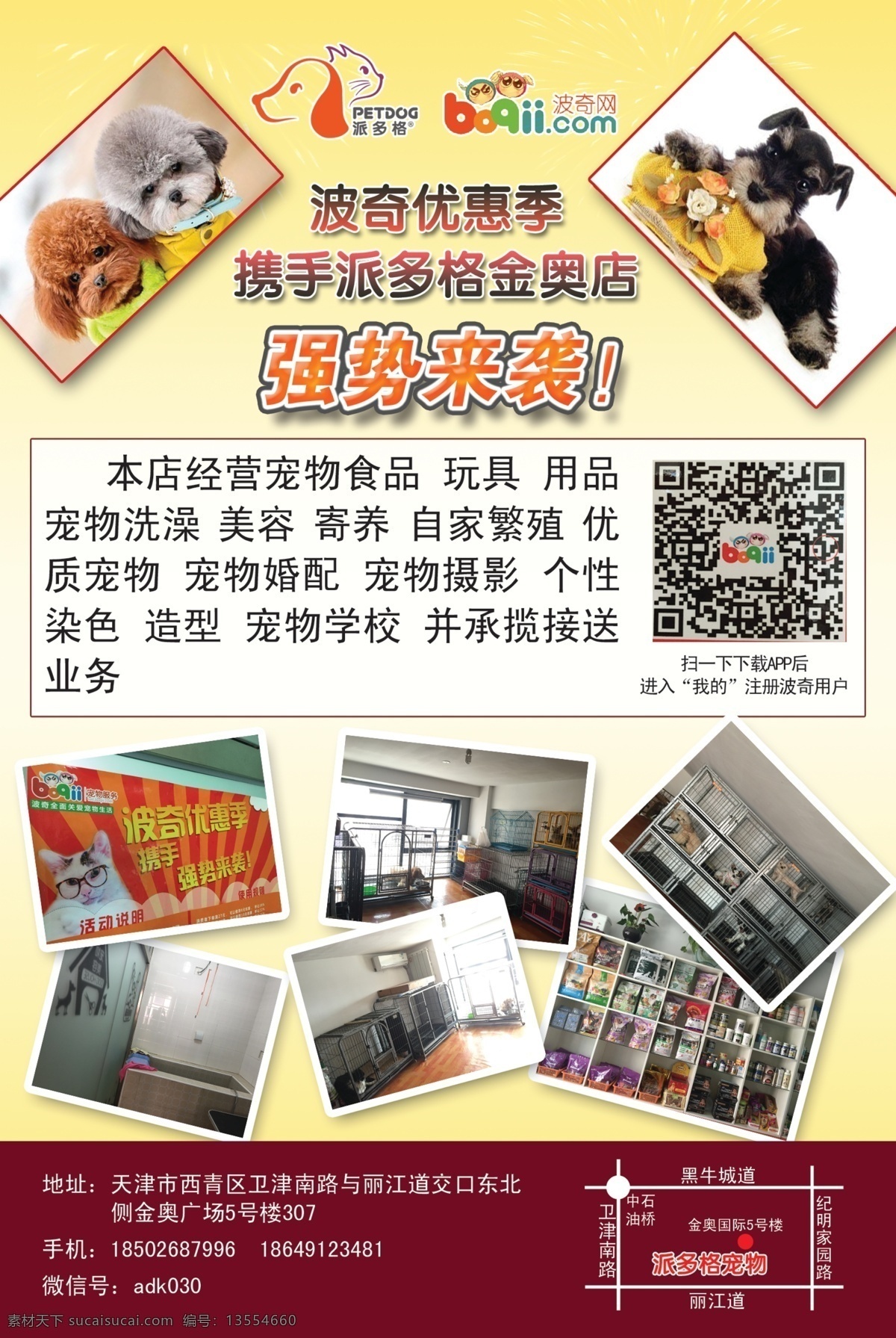 宠物店宣传单 宣传单 宠物店彩页 海报 动物海报 派多格宠物 dm宣传单