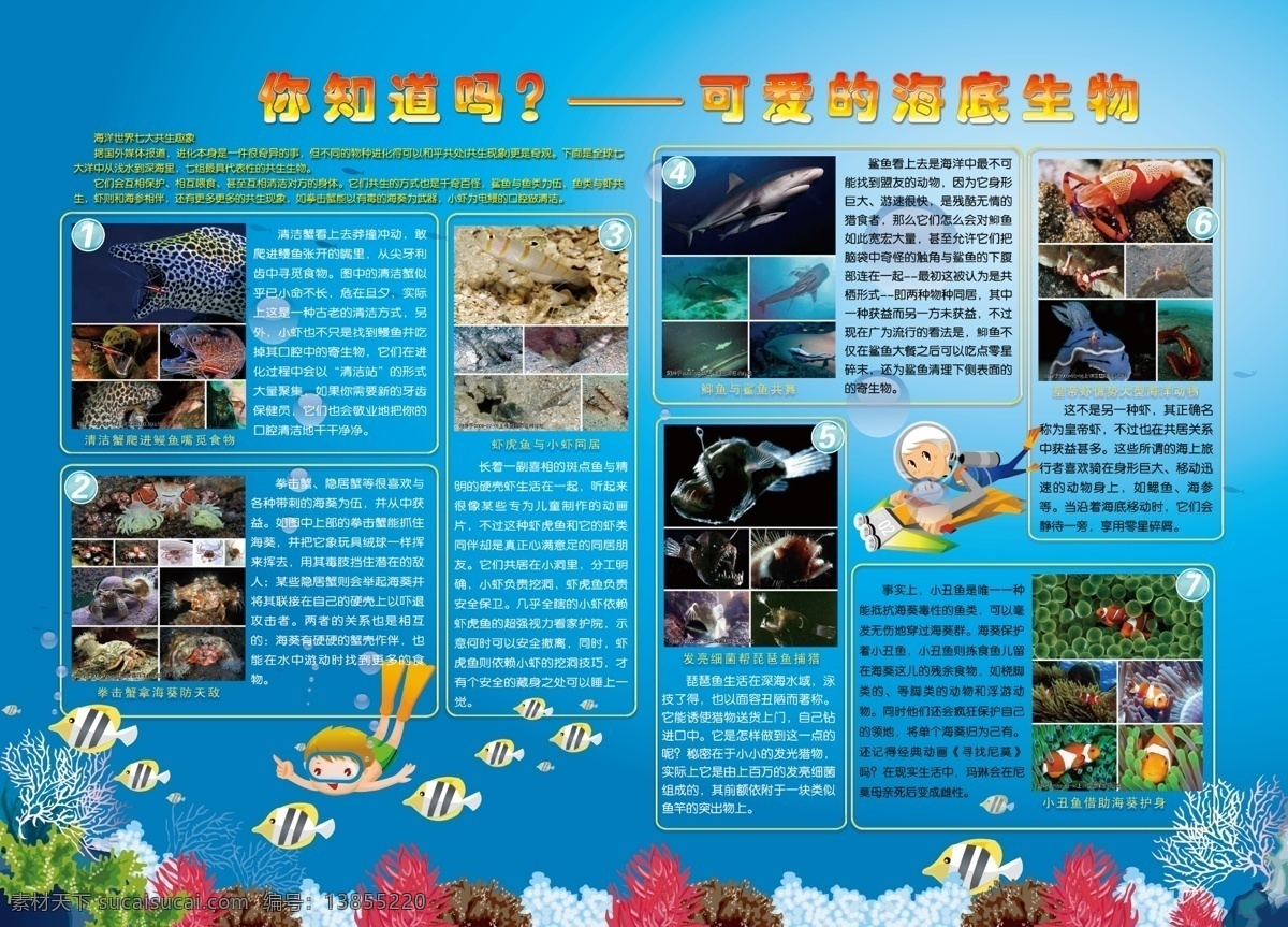海底生物展板 psd分层 广告设计模板 海草 海底 海底生物 海洋 卡通人 底生物展板 鱼 气泡 源文件库 其他海报设计