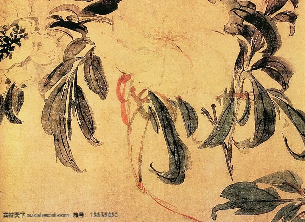 工笔画图片 鸟 国画 油画 水彩画 水墨画 装饰画 中式 花鸟画 中国风 古典 工笔画 山水画 风景画 书房背景墙 工笔 挂画 工笔花鸟 花鸟 花鸟装饰画 新中式 背景墙 兰花 小清新 屏风 壁画 国画花鸟 字画 书法 书画 翰墨 丹青 花 草 花草 中国画 朱砂 笔墨 铅笔画 蜡笔画 风景 山水 美术 艺术 工笔国画 文化艺术 美术绘画