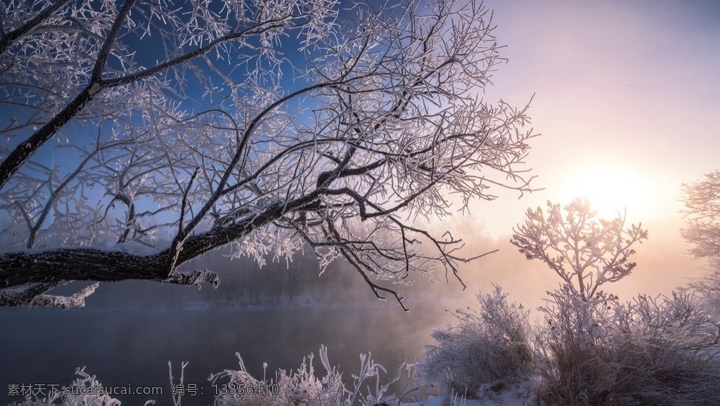 雾凇图片 雾凇 雾凇岛 树挂 吉林 冰柱 自然景观 树 冰天雪地 雪景 唯美 旅游摄影 国内旅游