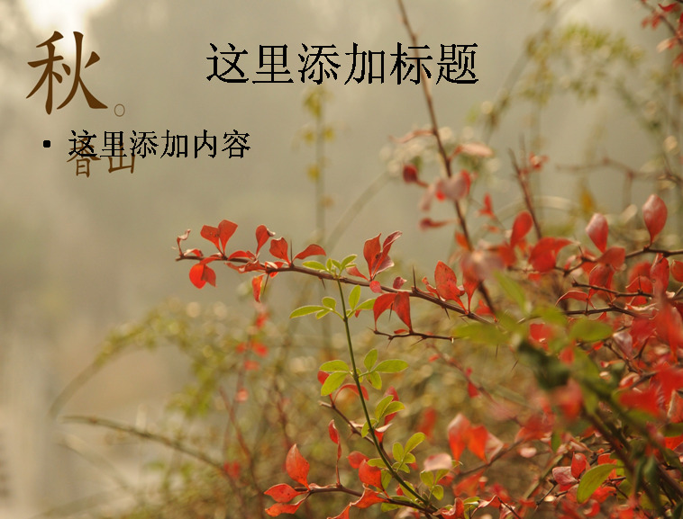 北京 香山 静 宜 园 秋天 风景摄影 宽 屏 ppt4 风景 红叶 静宜园 自然风景 模板