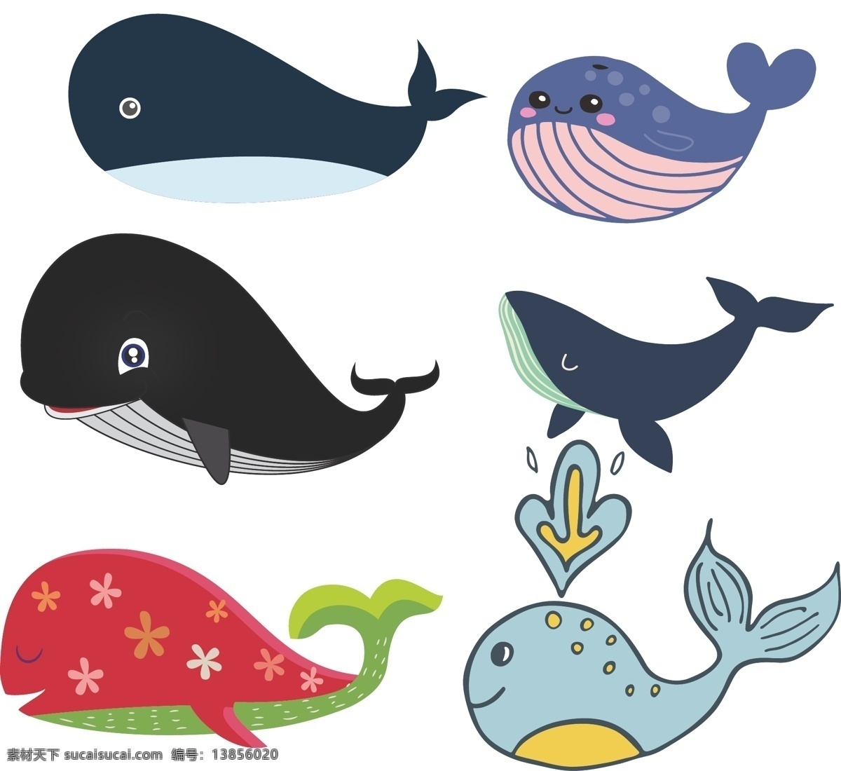 鲸鱼素材图片下载-素材编号13856020-素材天下图库