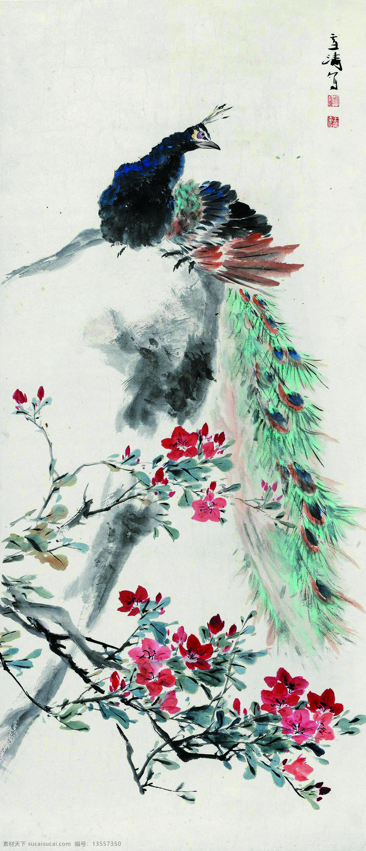 孔雀杜鹃花 美术 国画 彩墨画 花鸟画 孔雀 杜鹃 王雪涛国画 绘画书法 文化艺术