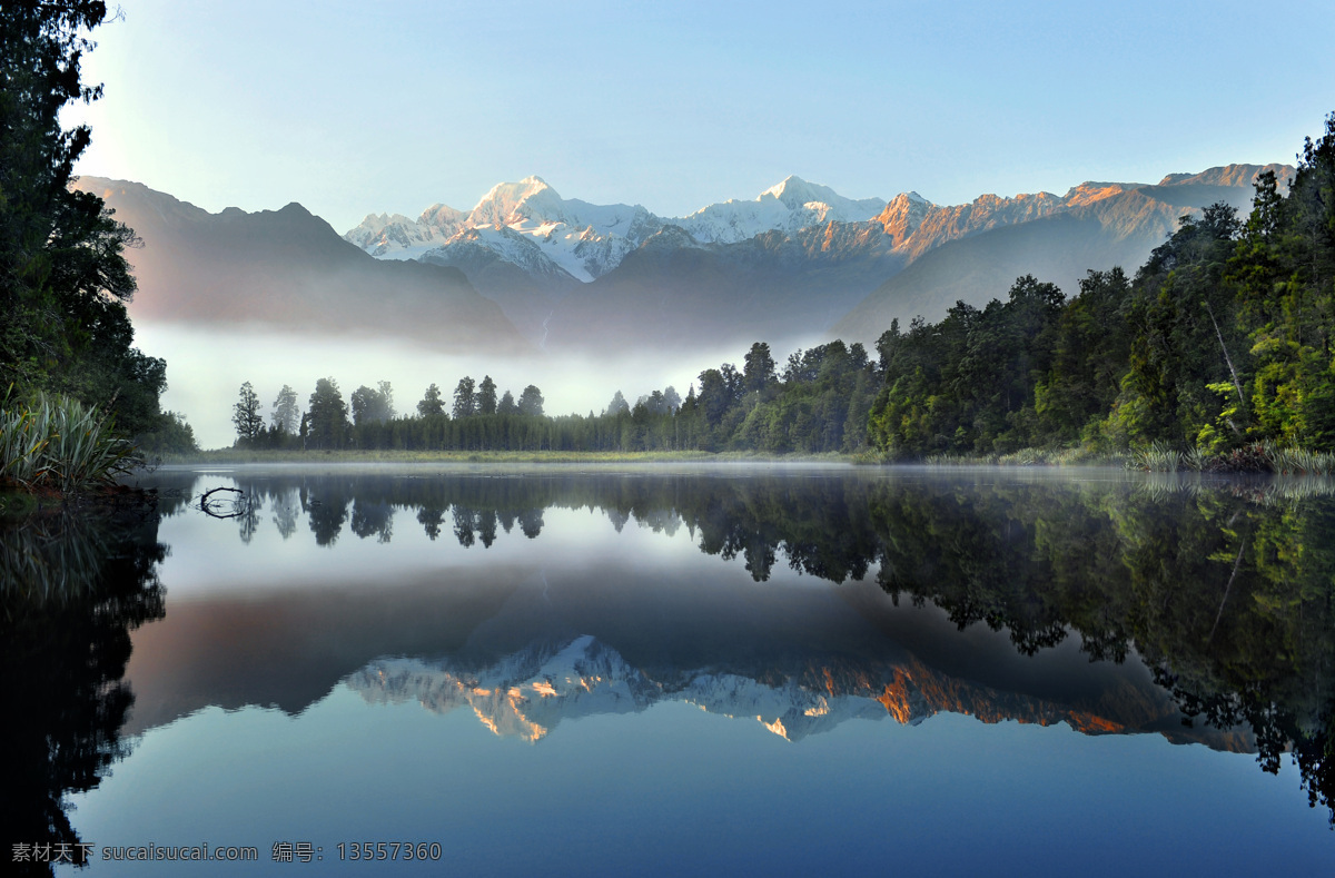 树林 森林 山林 树木 草地 树 雪山 丛林 自然 大树 公园 树木树叶 生物世界 景色 高清 自然风景 自然景观