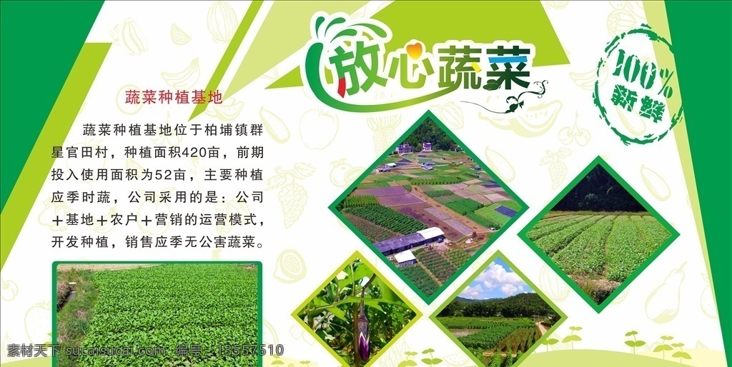 放心蔬菜广告 绿色广告 超市广告 超市海报 蔬菜广告 蔬菜海报 蔬菜宣传 放心蔬菜 超市蔬菜广告