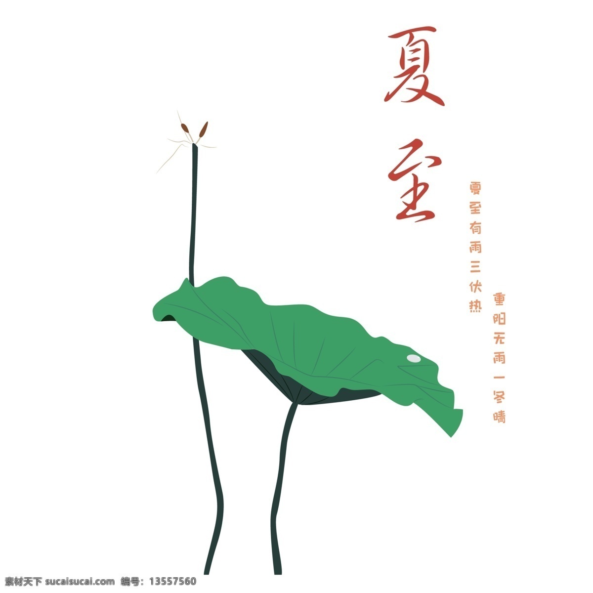 夏至 荷叶 免 抠 图 绿色的荷叶 夏天 池塘里的荷叶 卡通荷花叶子