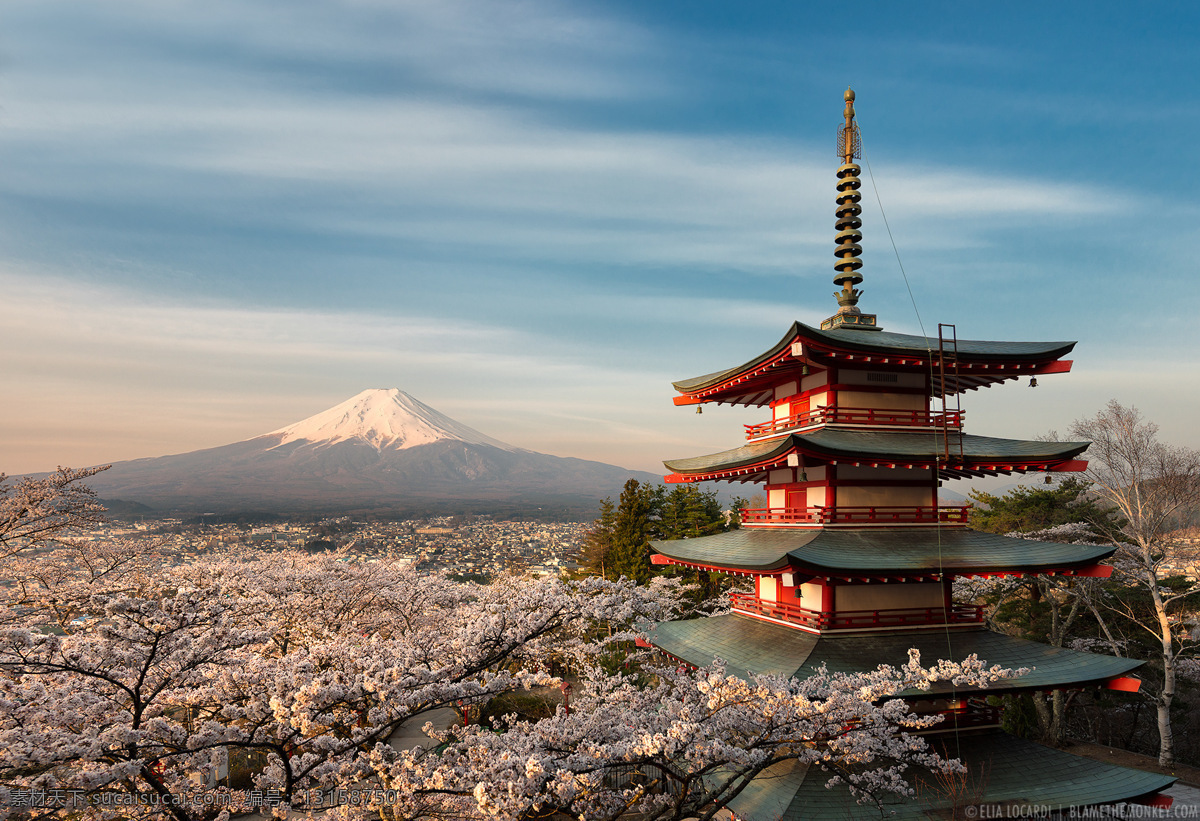 古塔 东京 日本 旅游 古建筑 名胜古迹 名古屋 樱花 复古 富士山 自然景观 风景名胜