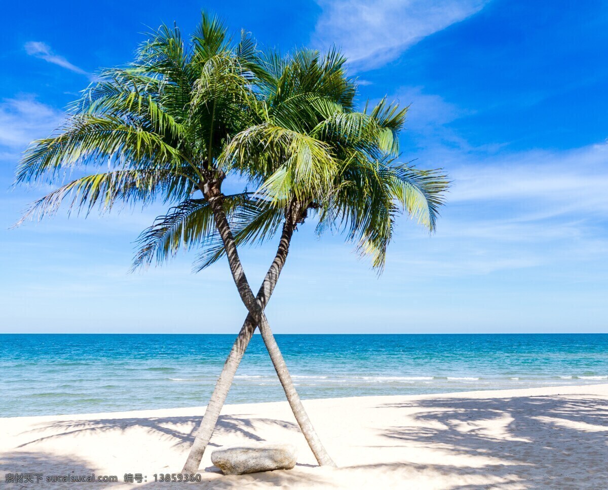 东南亚风光 东南亚 泰国 海边 风光 泰国景色 沙滩 椰子树 椰树 旅游摄影 国外旅游