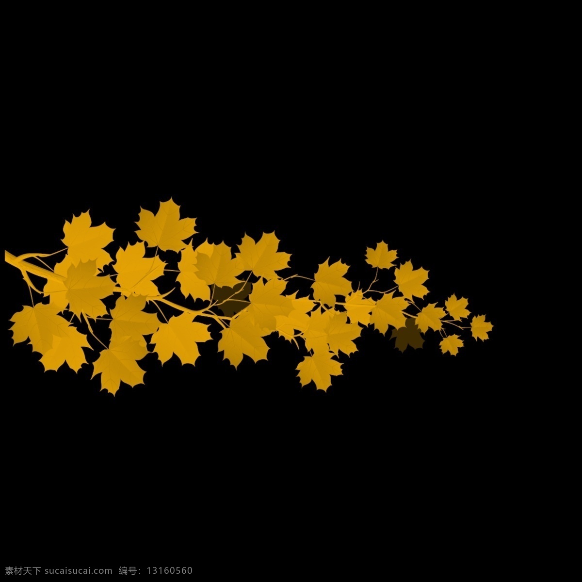 秋天的叶子 枫叶 黄色的叶子 漂亮 秋天 黑色
