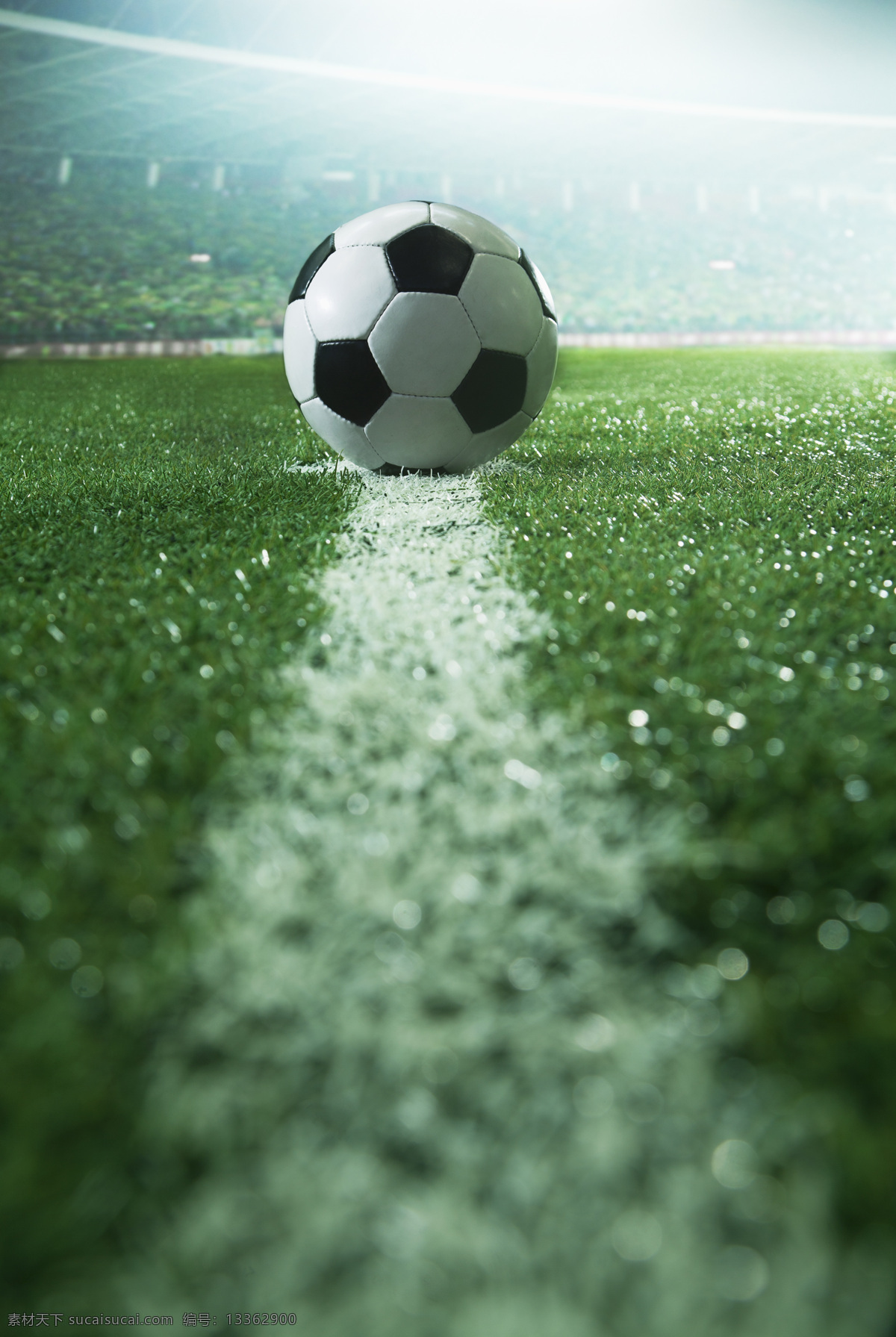 压线的足球 压 线 足球 草地 草坪 球场 体育运动 生活百科 绿色