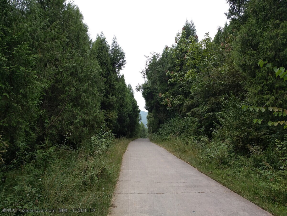 乡间道路 玛瑙镇 梓潼 国内 田园风光 山水 绿色 蓝天 植物 乡间 小道 梓潼玛瑙 自然景观