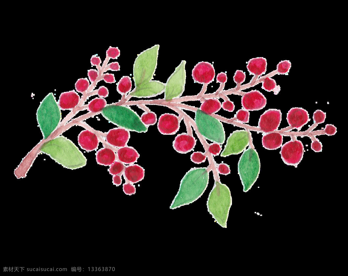 红色 果实 树枝 透明 抠图专用 装饰 设计素材