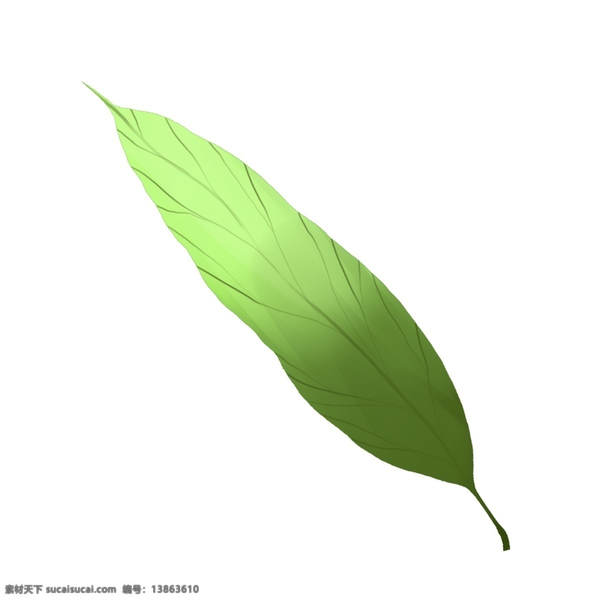 片 立体 树叶 插图 绿色树叶 植物树叶 卡通插画 立体树叶 户外树叶 树叶叶子 简约的树叶