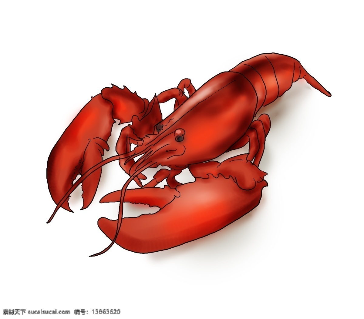 手绘 麻辣 小 龙虾 只 食物 海鲜 出海 捕捞 海货 麻辣小龙虾 湖南 小吃 海鲜冷冻 小龙虾 插画