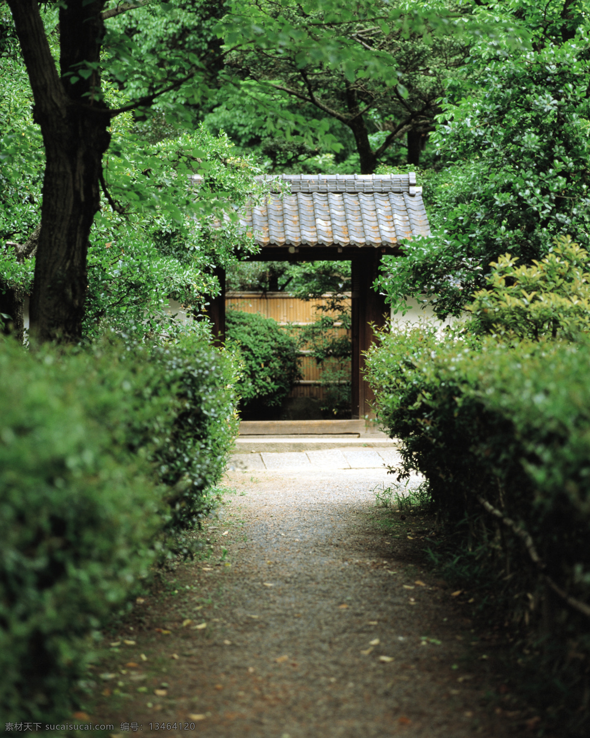 效 外 小住 大树 绿化 小草 园林 效外 园门 安静的园林 效外摄影 园林摄影 绿化摄影 装饰素材 园林景观设计