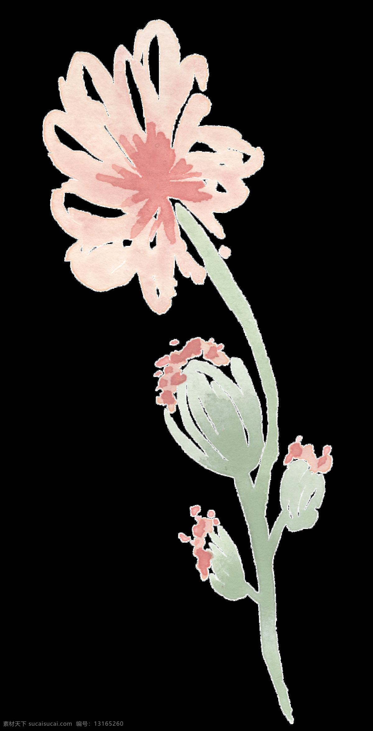 绽开 花瓣 透明 装饰 粉色 花朵 免扣素材 透明素材 装饰图案