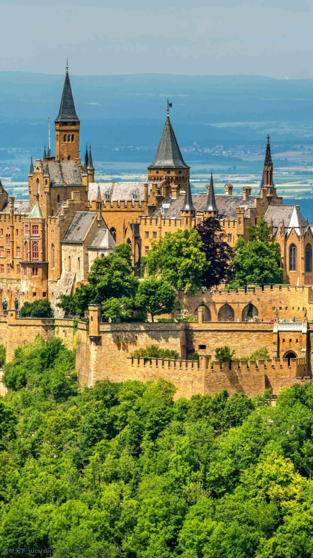 雄伟的城堡 古老的城堡 美丽的城堡 精美的城堡 外国城堡 绿树 树林 高清壁纸 旅游摄影 国外旅游