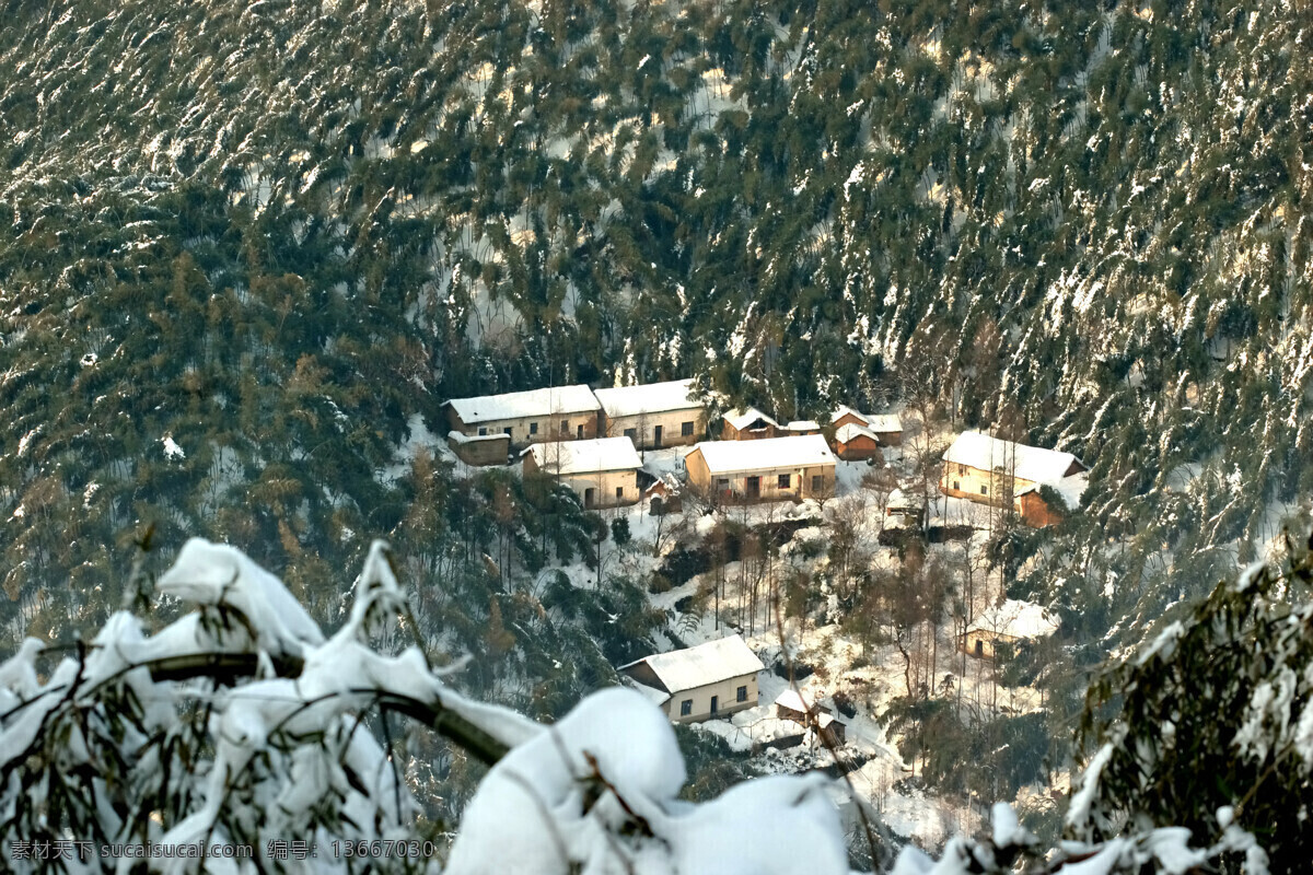 竹海 人家 房子 风光 山水风景 摄影图库 雪景 自然景观 竹海人家 雪中的竹林 矢量图 日常生活