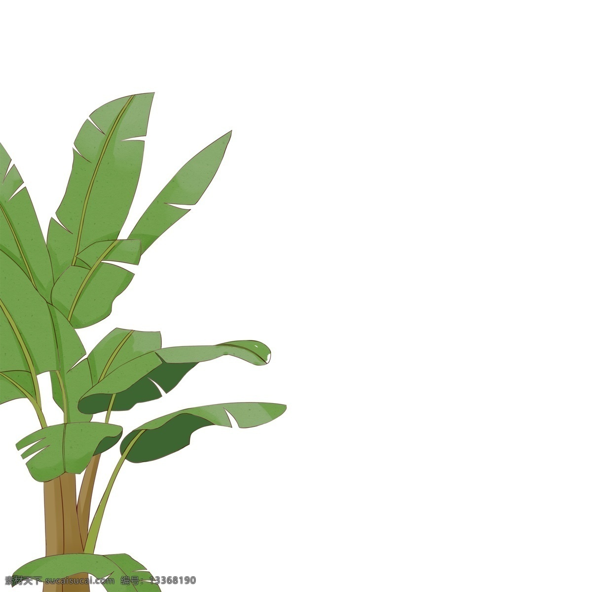 绿色 香蕉 树 图案 元素 夏季元素 绿叶 芭蕉树 香蕉树 植物 手绘 创意元素 psd元素 免抠元素