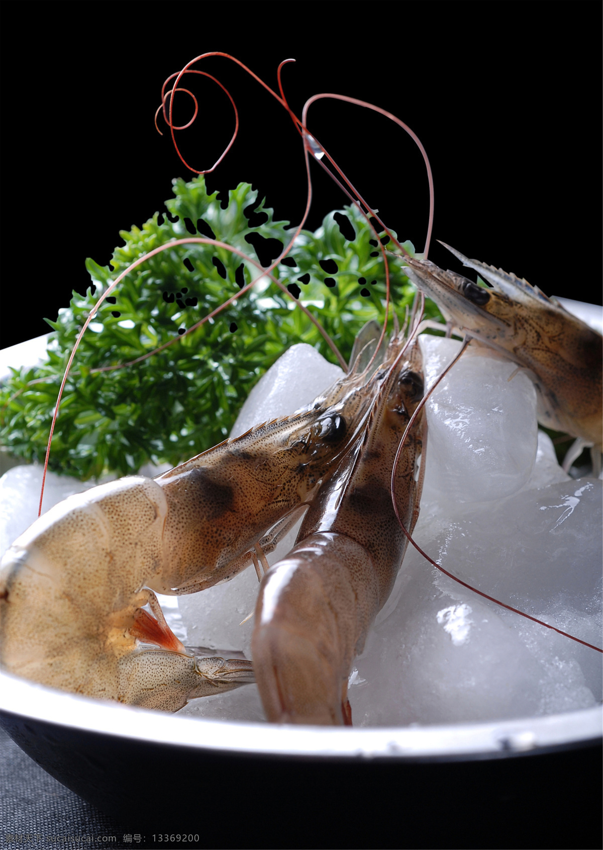 海鲜基围虾 美食 传统美食 餐饮美食 高清菜谱用图