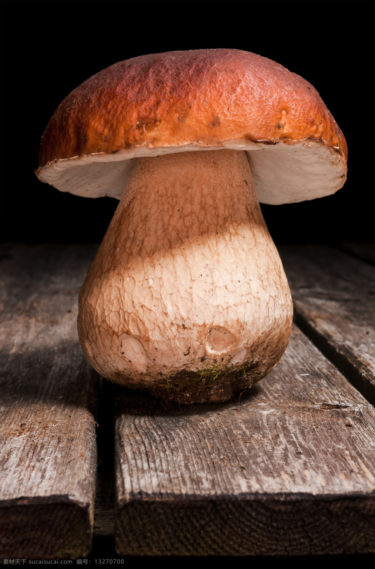 蘑菇 野蘑菇 香蘑菇 野菌菇 食用菌 菌类 菇子 菇类 蔬菜 生物世界