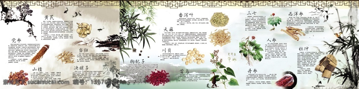 中药 当归 黄芪 山楂 党参 川贝 天麻 三七 人参 首乌等简介 展板模板 广告设计模板 源文件