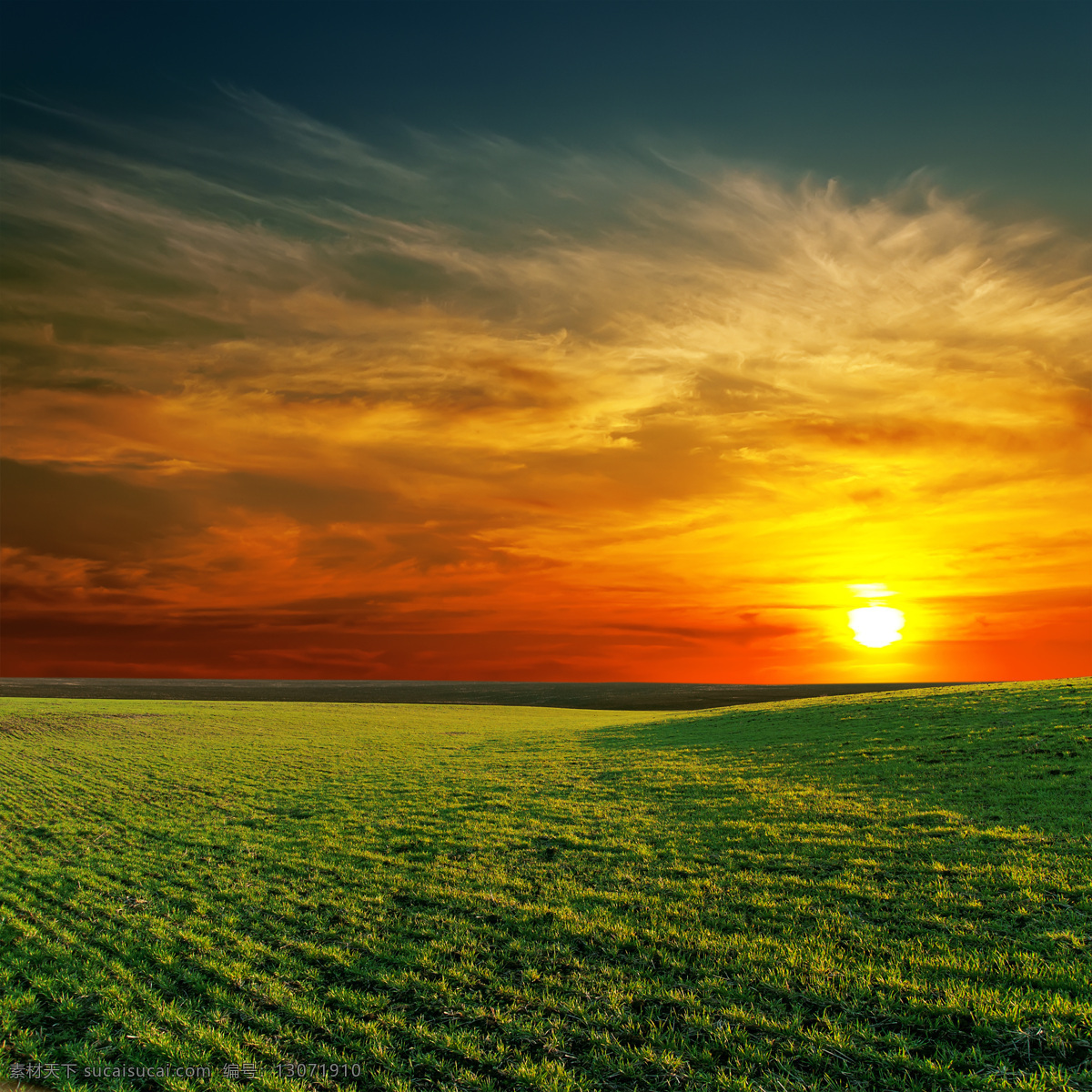 草原黄昏美景 春天风景 绿地风景 夕阳 黄昏美景 日落风景 美丽风景 美丽景色 自然美景 自然风景 自然景观 黑色