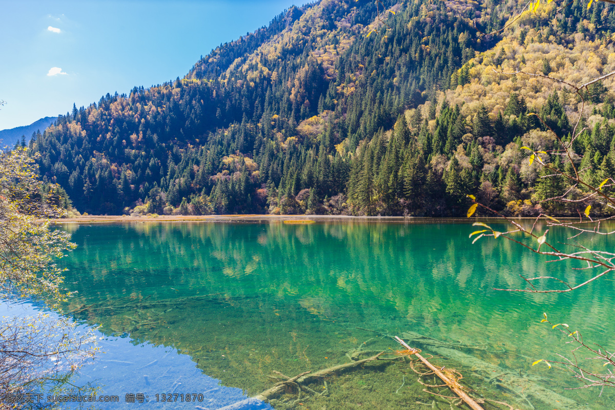 美丽 森林 湖泊 风景 风景图片 树林风景 湖面倒影 湖水 湖泊风景 美丽风景 美丽景色 自然风光 风景摄影 美景 自然风景 山水风景