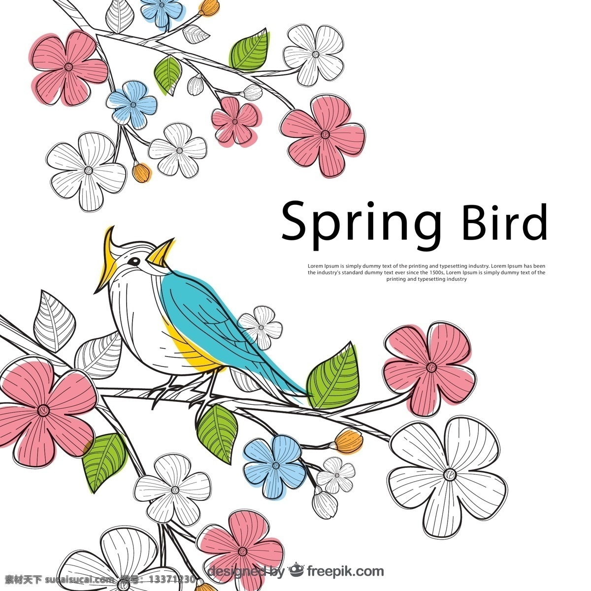 花枝 上 小鸟 小鸟矢量图 彩绘小鸟 彩绘 动物 春季 矢量 高清图片