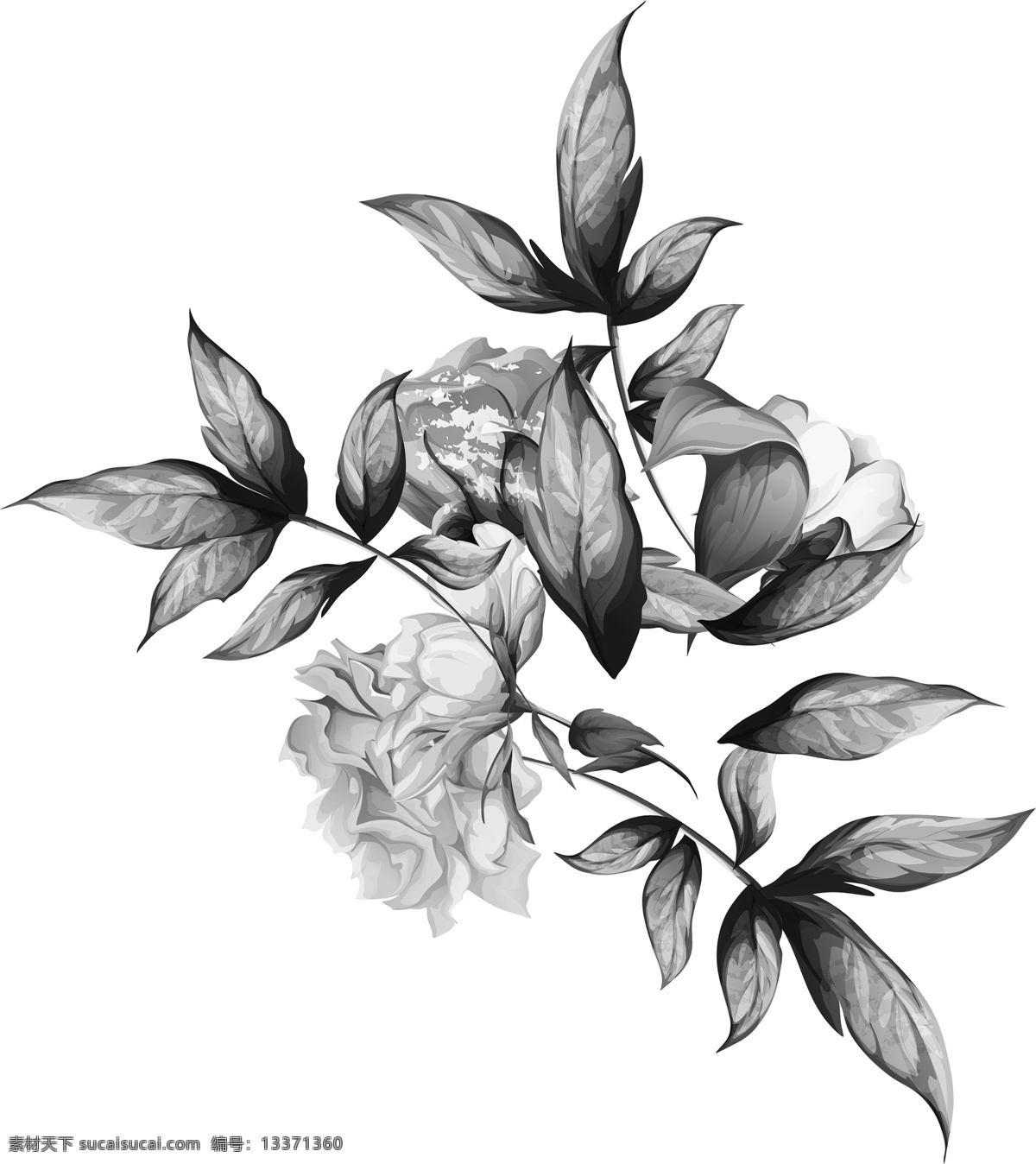 灰色花图片 热带花 灰色花 花叶 暗花 手绘花 服装设计