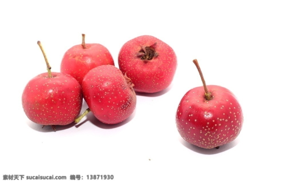 山楂 山楂果 水果 果实 果 果子 红果 红山楂 生物世界