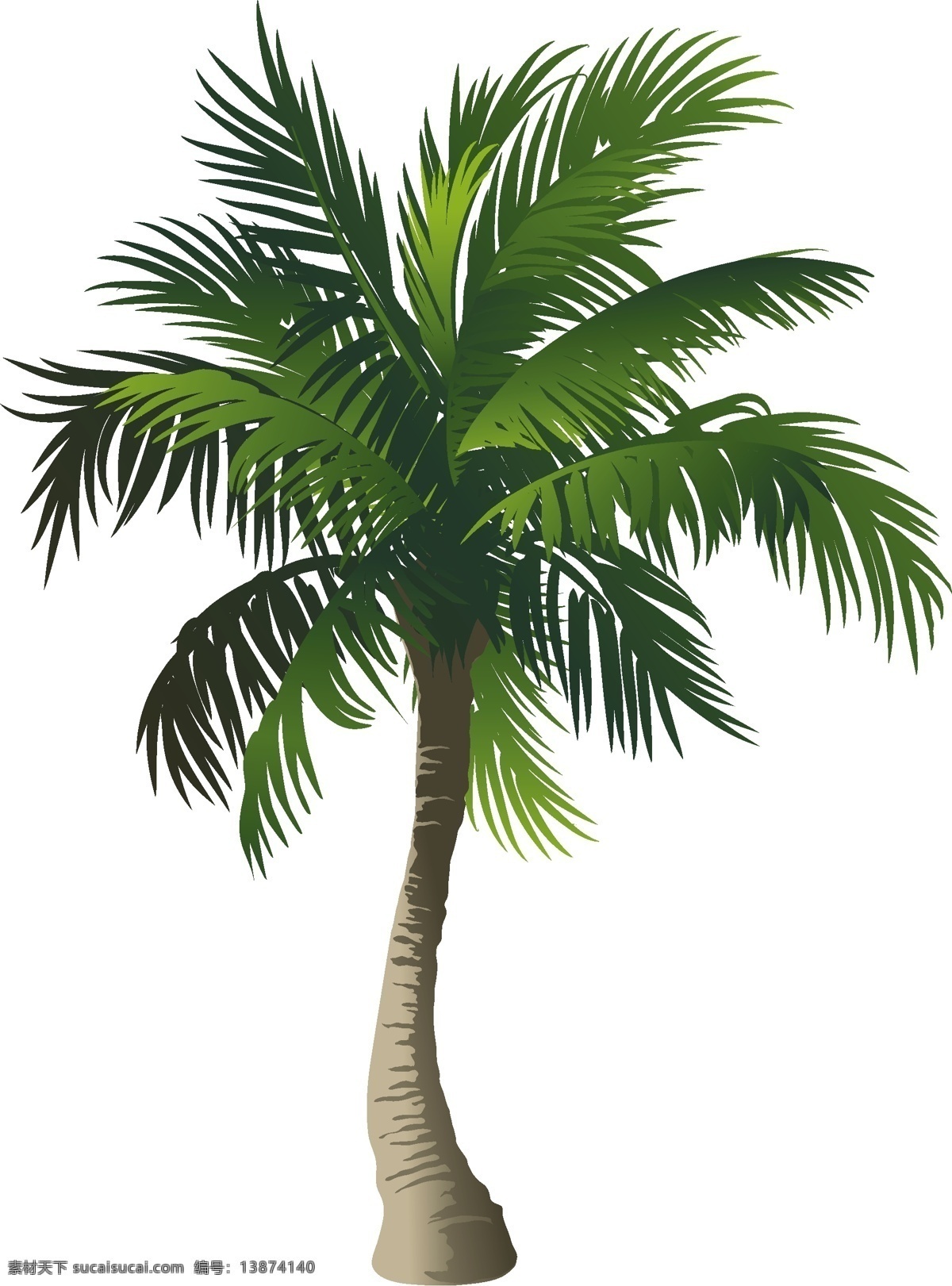 椰树 椰风 椰岛情 椰树矢量 椰树素材