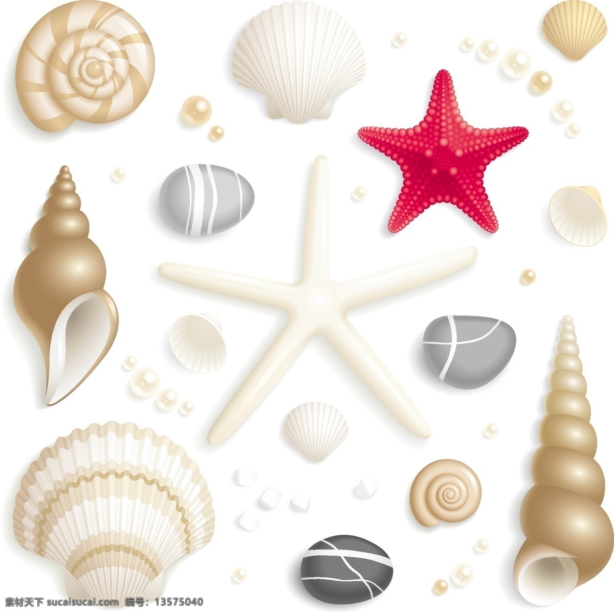 贝壳 海螺 海星 海洋生物 生物世界 珍珠 装饰品 珍珠矢量素材 珍珠模板下载 矢量 矢量图 其他矢量图