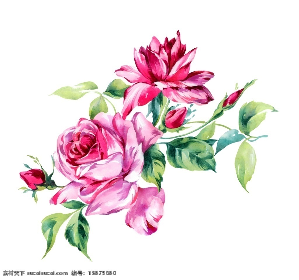 花卉图片 花卉 数码 印花 花朵 服装设计 数码设计